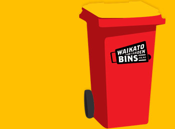 waikato services intro