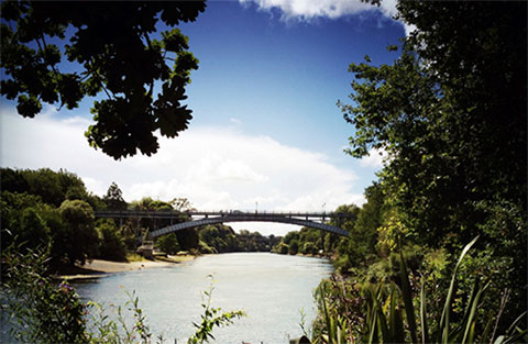 waikato community page